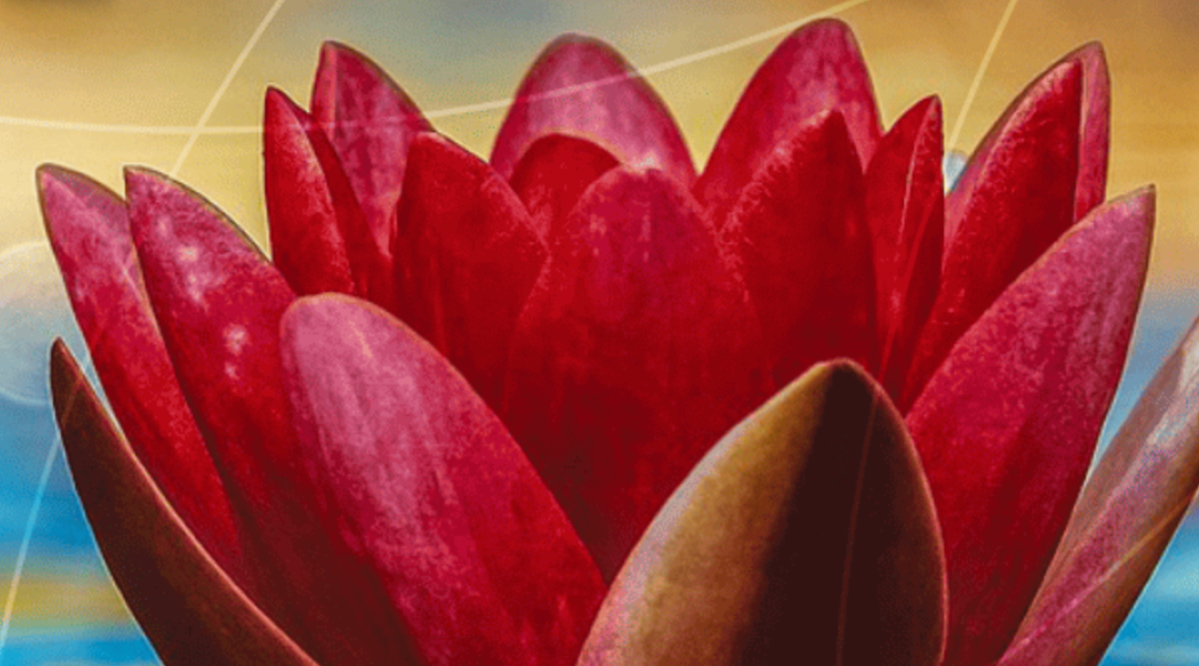 Flor