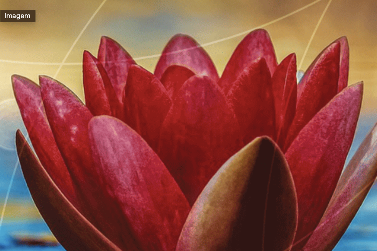Flor