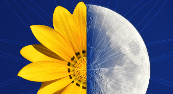 Flor e lua