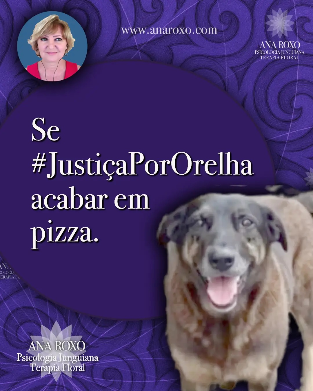 Cachorro